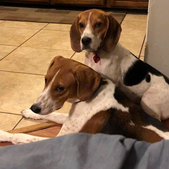 Meet your Posher, April - Picture 1 of 1